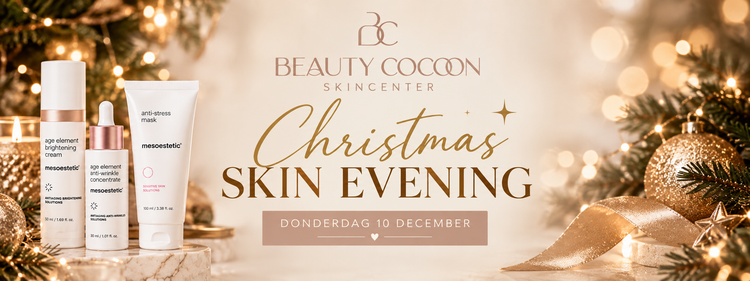 Christmas Workshop